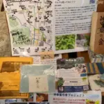 今年の発芽藍 [2025-04-02]