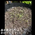 5月の定例会・神田藍の会ラジオ日程