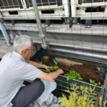 かがやきプラザ [2025-06-29]