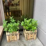 美味これくしょん神田倶楽部  [2025-08-12]