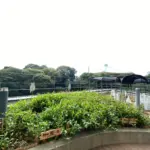 神田藍の会オープンデイのお知らせ