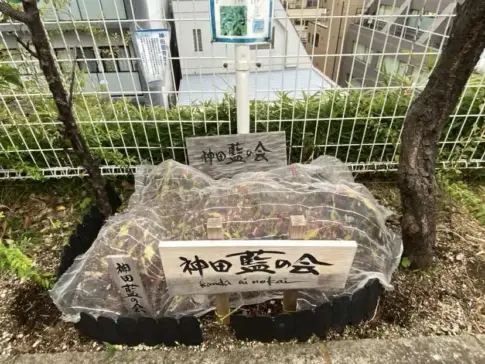 神田明神3号 【2025-11-17】