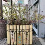 神田橋安田ビル 【2025-11-17】